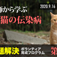 セミナー Npo法人人と動物の共生センター