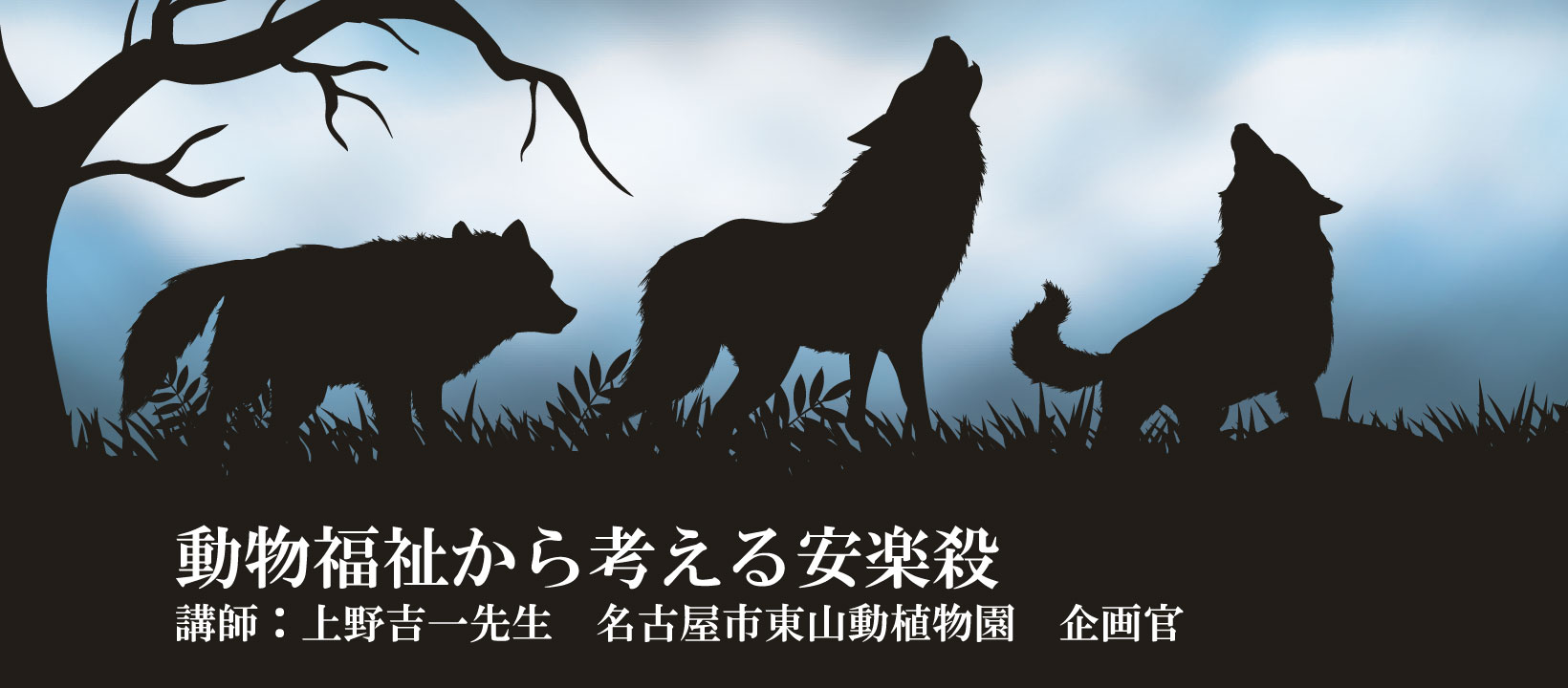 キリンが笑う動物園 : 環境エンリッチメント入門