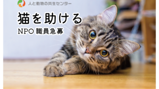 0be58ef79d371c2a295e7d278ac50d