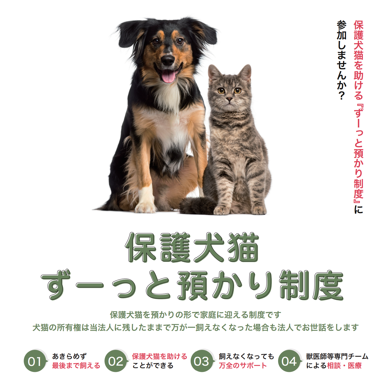 ペット禁止 犬 猫 保護