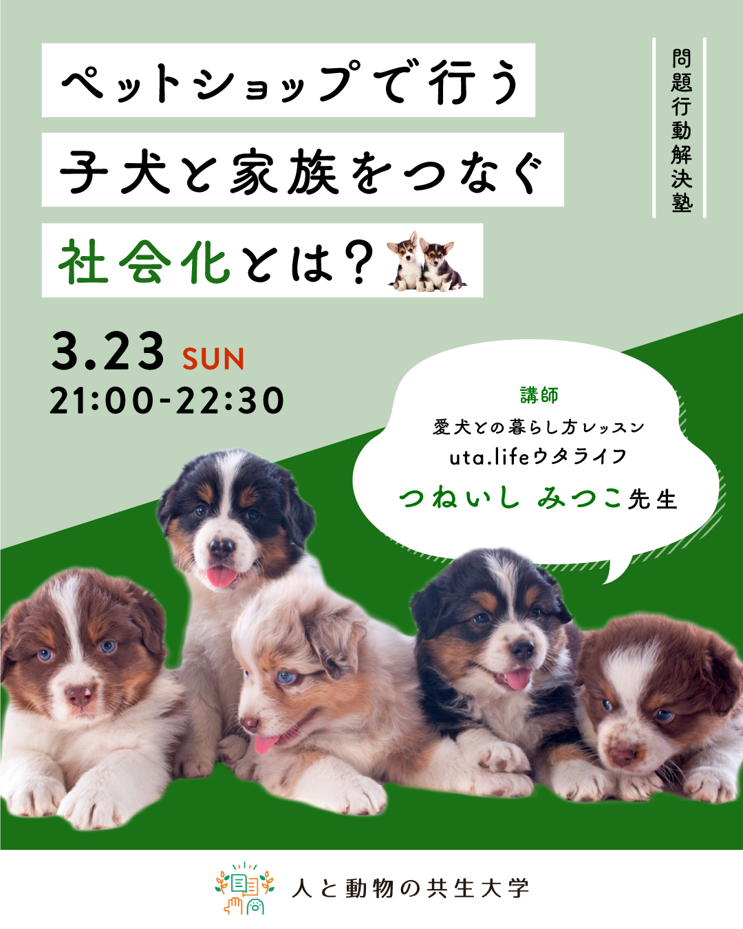 保育者と教師のための動物介在教育入門 71Uhnov3-ZL._UF350,350_QL50_.jpg